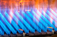 Rowen gas fired boilers